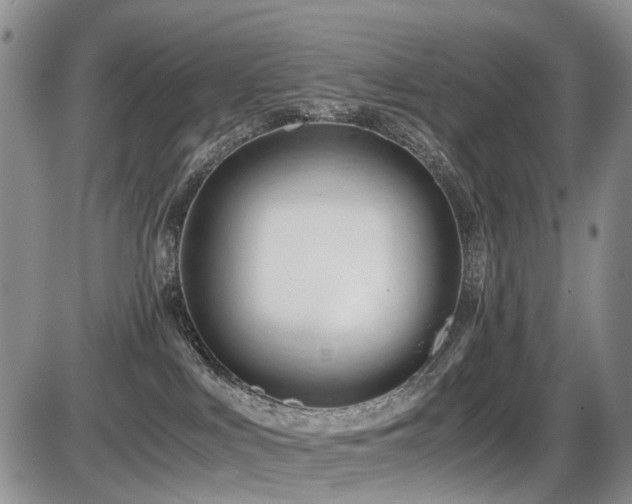 X0000086060043200703231253