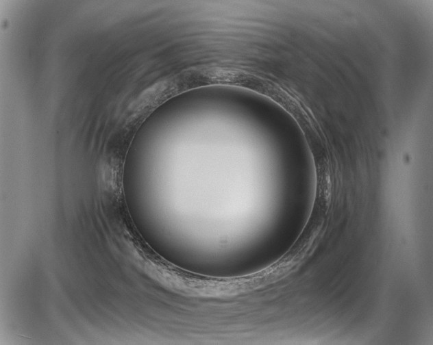 X0000086060044200703231253