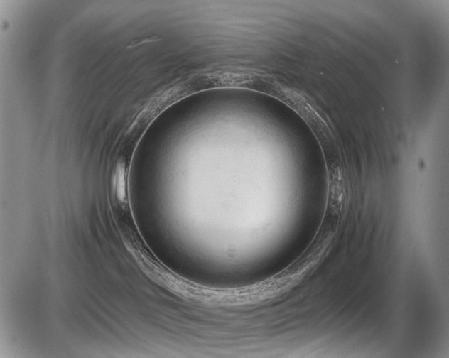 X0000086060046200703231253