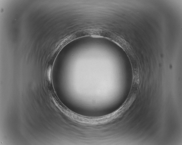 X0000086060047200703231253