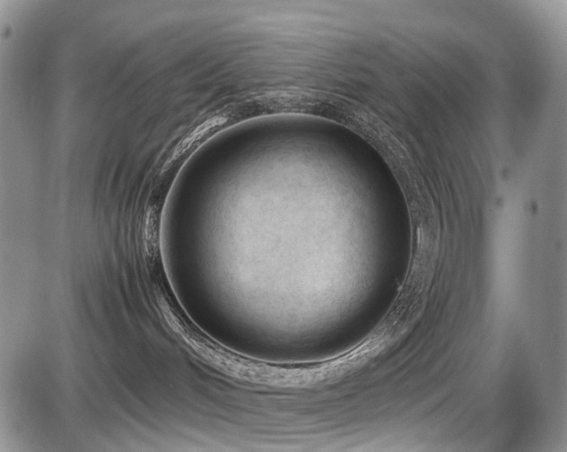 X0000086060048200703231253