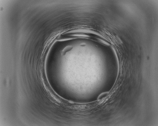 X0000086060049200703231252