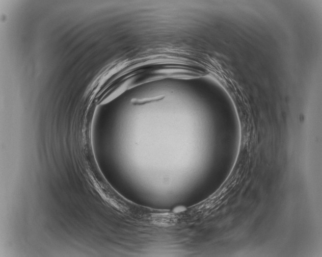 X0000086060050200703231252