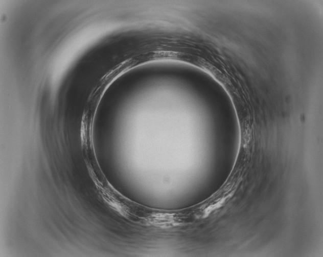 X0000086060052200703231252