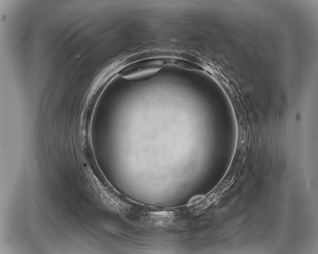 X0000086060053200703231252