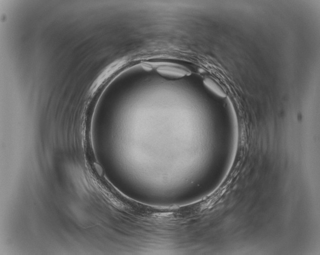 X0000086060054200703231252