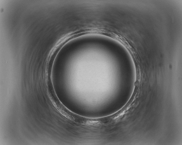 X0000086060055200703231252