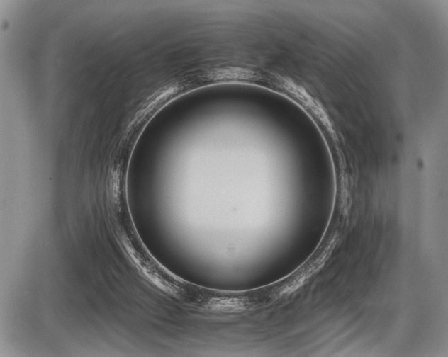 X0000086060057200703231252