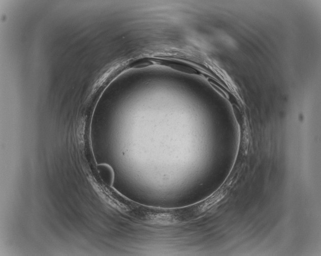 X0000086060058200703231252