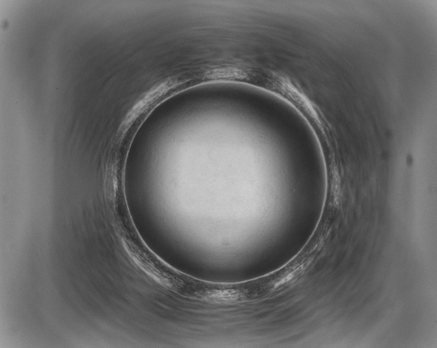 X0000086060059200703231252