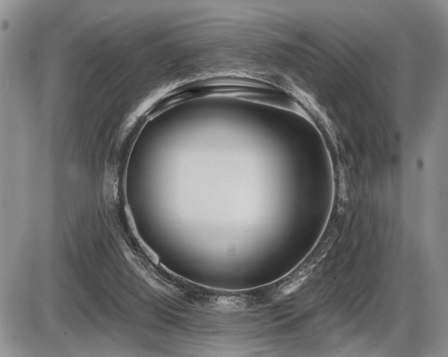 X0000086060060200703231252