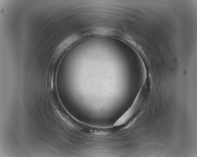 X0000086060062200703231252