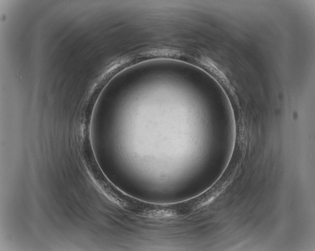 X0000086060063200703231252