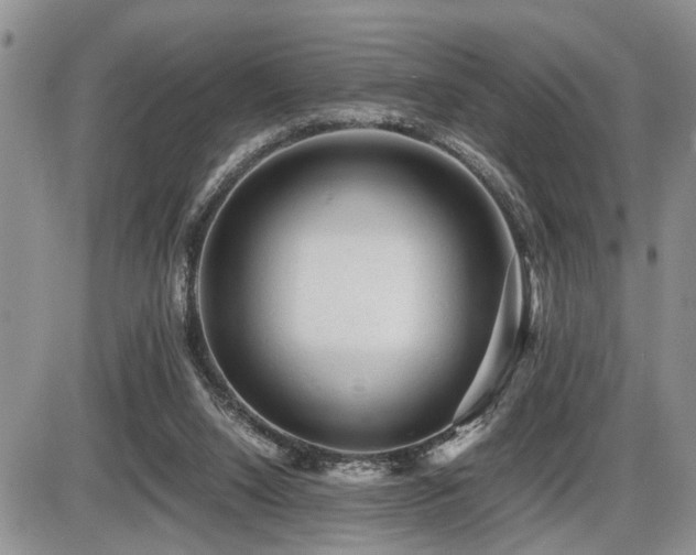 X0000086060064200703231252