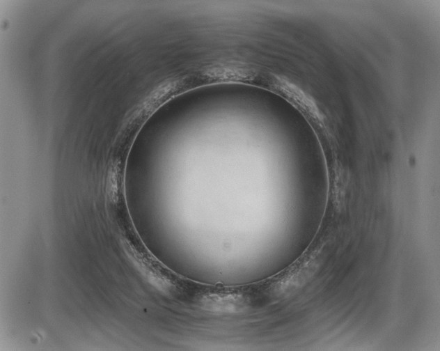 X0000086060065200703231252