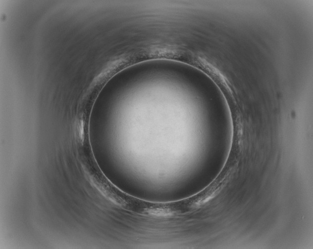 X0000086060067200703231252