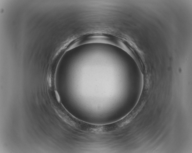 X0000086060068200703231252