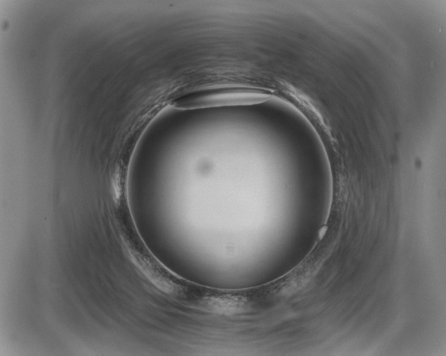 X0000086060069200703231252