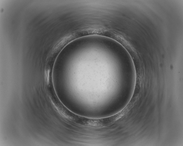 X0000086060070200703231252