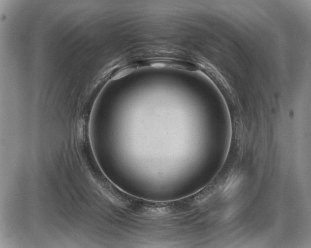 X0000086060071200703231252