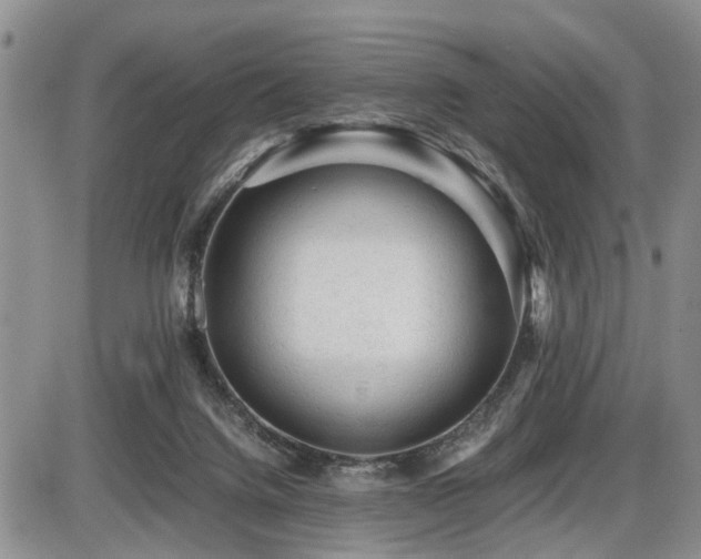 X0000086060072200703231252