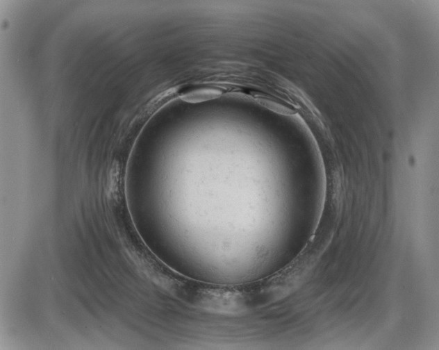 X0000086060073200703231252