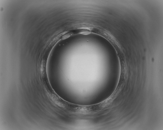 X0000086060074200703231252