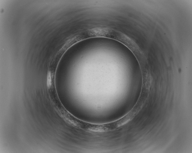 X0000086060075200703231252