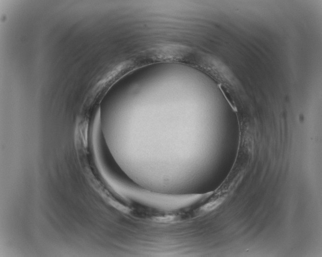 X0000086060076200703231252