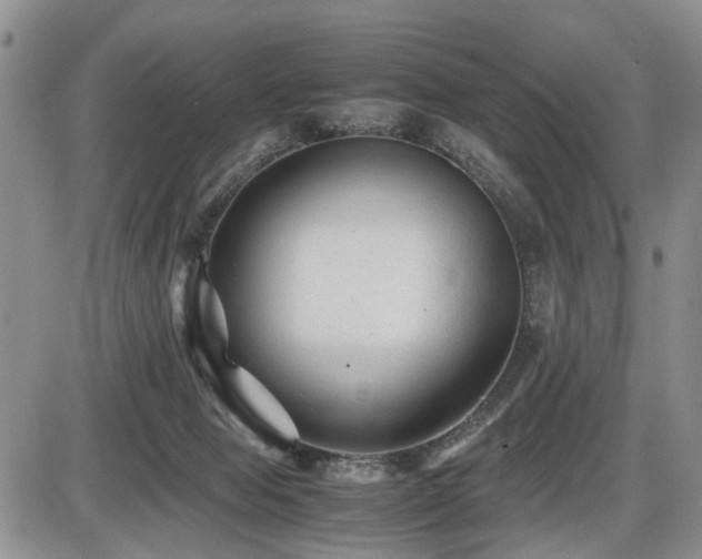 X0000086060077200703231252