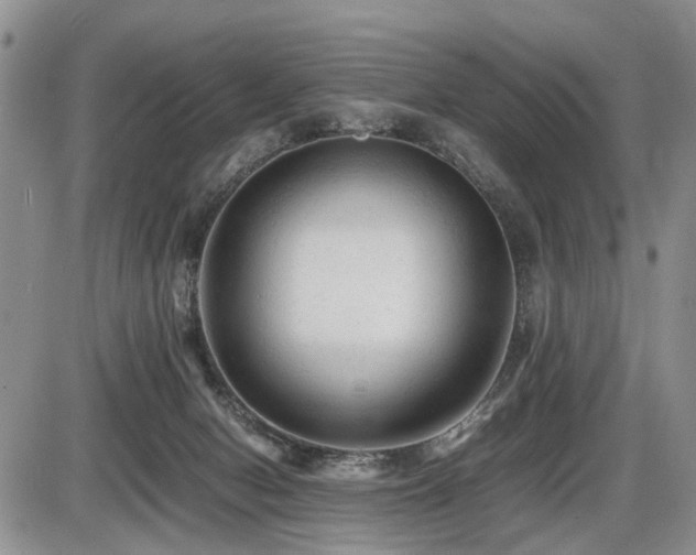 X0000086060078200703231252