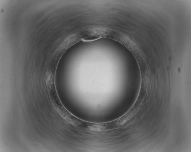 X0000086060079200703231252