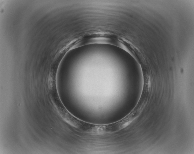 X0000086060080200703231252