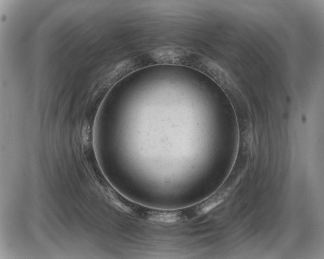 X0000086060081200703231252