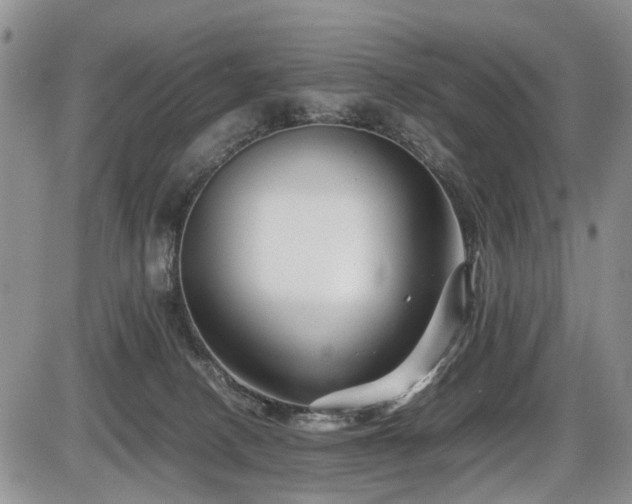 X0000086060082200703231252