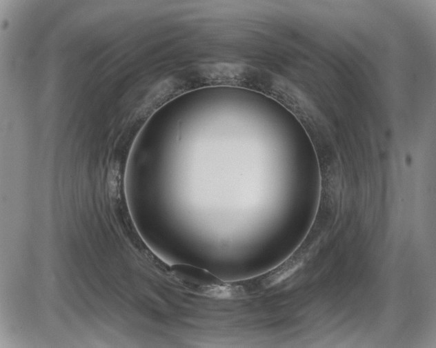 X0000086060083200703231252