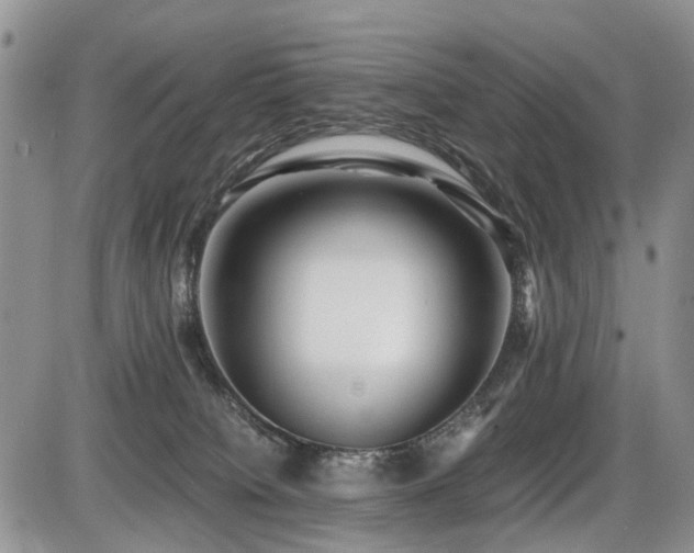 X0000086060084200703231253