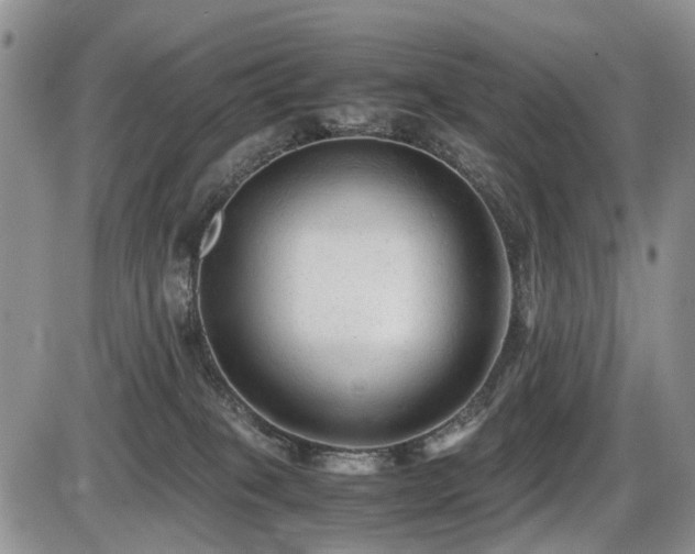 X0000086060085200703231253