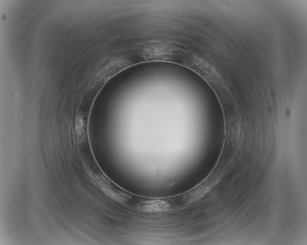 X0000086060087200703231253