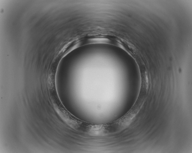 X0000086060088200703231253