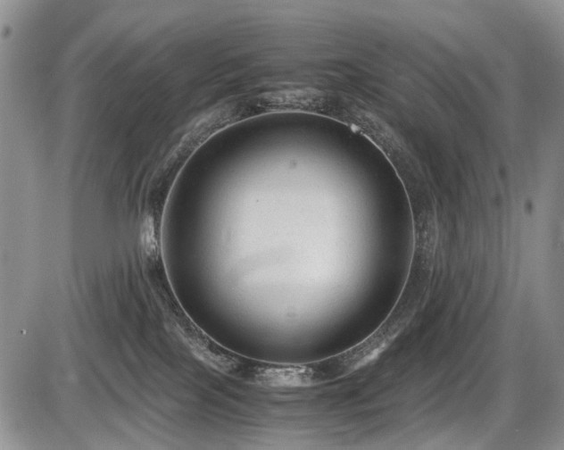 X0000086060089200703231253