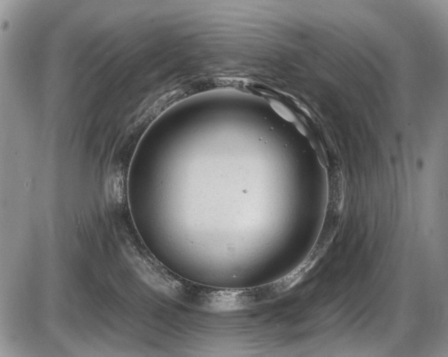 X0000086060090200703231253