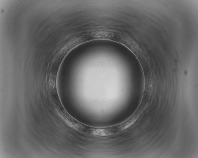 X0000086060091200703231253