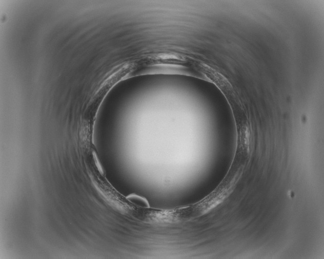 X0000086060092200703231253