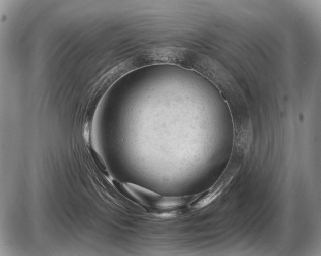 X0000086060095200703231253