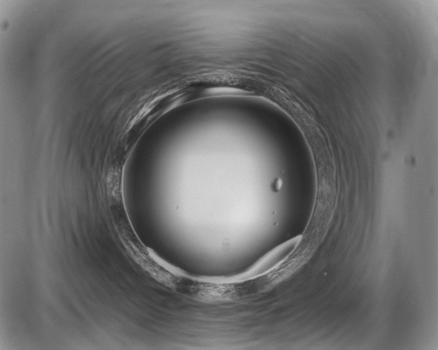 X0000086060096200703231253