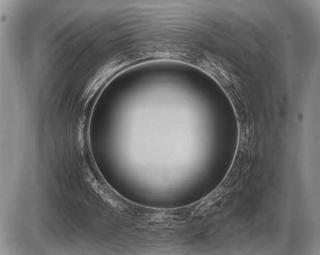 X0000086060098200703231252