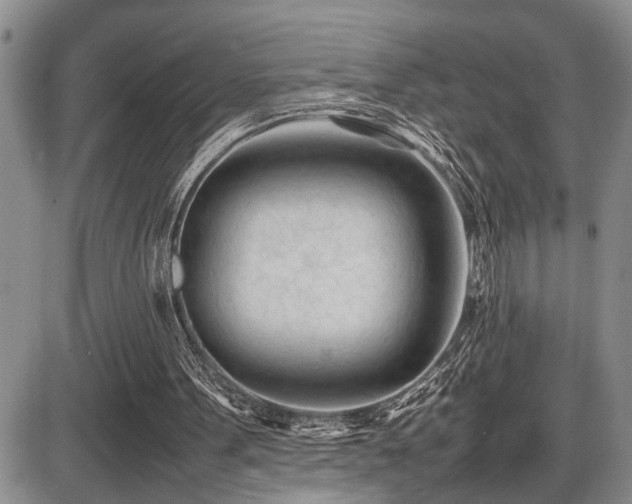 X0000086060099200703231252