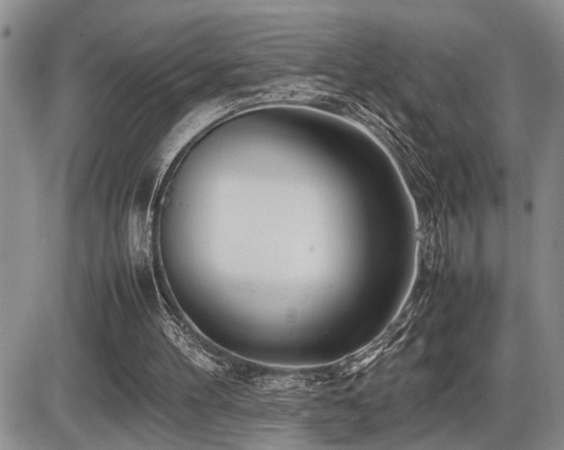 X0000086060100200703231252