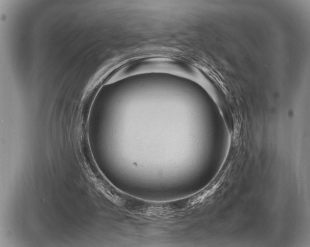 X0000086060101200703231252